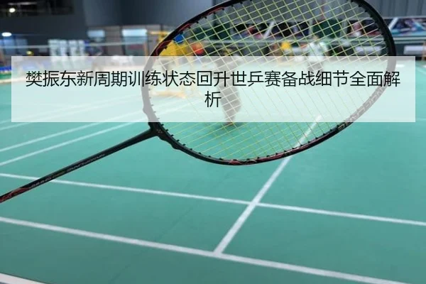 樊振东新周期训练状态回升世乒赛备战细节全面解析