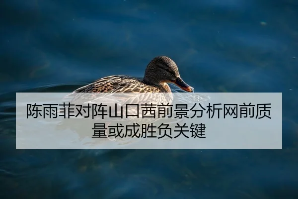 陈雨菲对阵山口茜前景分析网前质量或成胜负关键